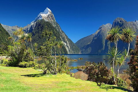 Aroha Tangata Australia And New Zealand 20 Day - Yamba Accommodation 1