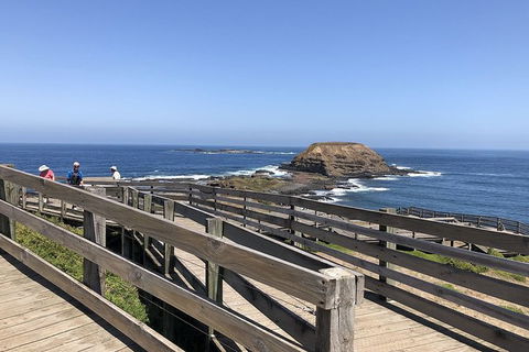 Day Tour Of Phillip Island, The Surrounding Region And Wine Tasting - Yamba Accommodation 14