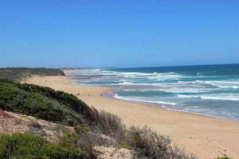 Day Tour Of Phillip Island, The Surrounding Region And Wine Tasting - Yamba Accommodation 5