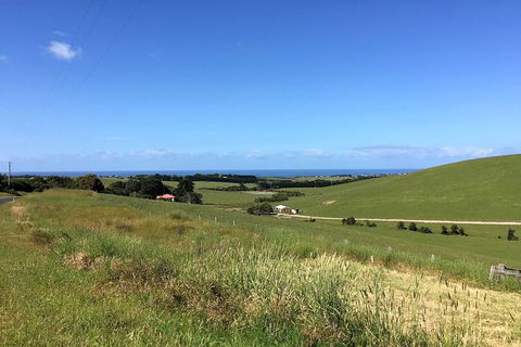 Day Tour Of Phillip Island, The Surrounding Region And Wine Tasting - Yamba Accommodation 6