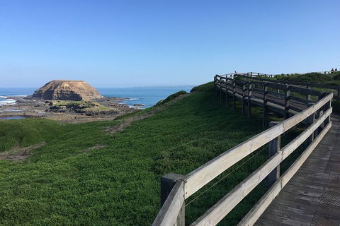Day Tour Of Phillip Island, The Surrounding Region And Wine Tasting - Yamba Accommodation 11