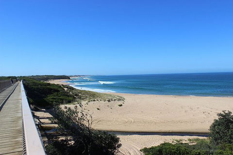 Day Tour Of Phillip Island, The Surrounding Region And Wine Tasting - Yamba Accommodation 4
