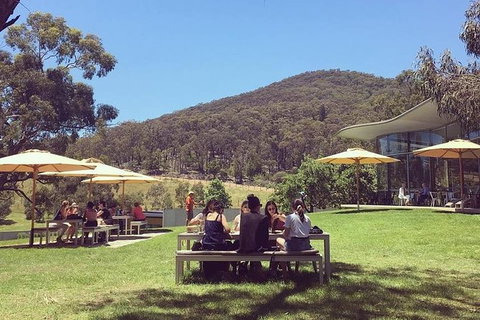 CHEVY CONVERTIBLE Package For 2 People- Wine Lunch Cheese & Chocolate From Melb. - Yamba Accommodation 6