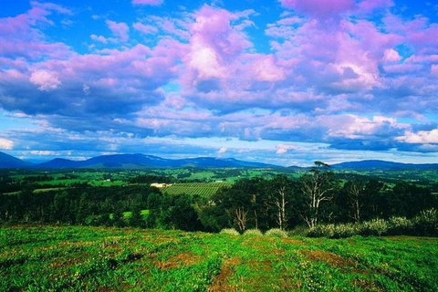 CHEVY CONVERTIBLE Package For 2 People- Wine Lunch Cheese & Chocolate From Melb. - Yamba Accommodation 7