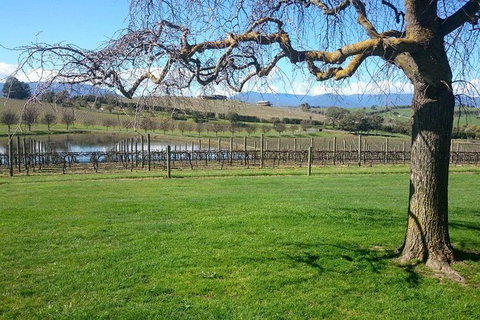 CHEVY CONVERTIBLE Package For 2 People- Wine Lunch Cheese & Chocolate From Melb. - Yamba Accommodation 4