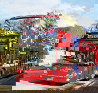 Hobart Hop-on Hop-off Bus Tour - Yamba Accommodation