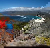 Full-Day Tour One-Way from Launceston to Hobart with Freycinet National Park - Yamba Accommodation