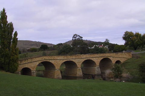 Hobart Shore Excursion: Half Day Bonorong Wildlife Park With Richmond Tour - Yamba Accommodation 1