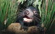 Hobart Shore Excursion: Half Day Bonorong Wildlife Park With Richmond Tour - thumb 0
