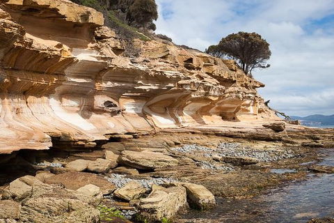 Maria Island Premium Private Photo-oriented Day Tour From Hobart - Yamba Accommodation 2