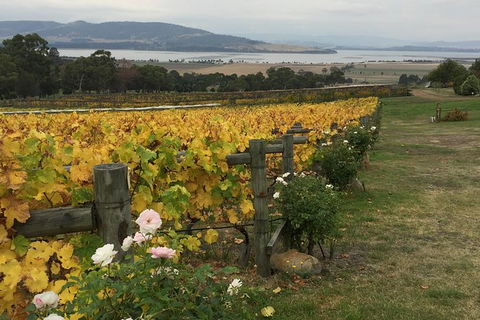 Mona And Wine Experience Tour - Yamba Accommodation 0