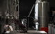 Private 90-minute Moorilla Estate Winery Tour With Tastings And Free Wine Gift - thumb 1