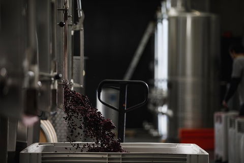 Private 90-minute Moorilla Estate Winery Tour With Tastings And Free Wine Gift - Yamba Accommodation 1