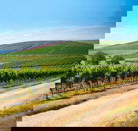 Full Day Tamar Valley Wine Tour - Yamba Accommodation