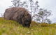 3-Day Cradle Mountain Photography Workshop - thumb 7