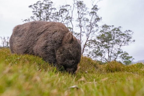 3-Day Cradle Mountain Photography Workshop - Yamba Accommodation 7