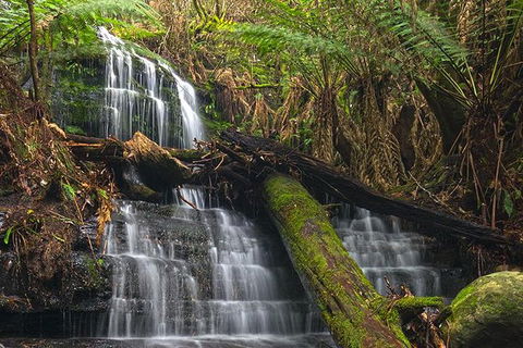 Hobart And Surrounds Photography Workshop - Yamba Accommodation 1