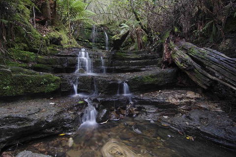 Hobart And Surrounds Photography Workshop - Yamba Accommodation 7