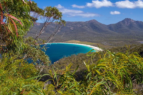 4x4 And Lunch Full Day Freycinet And Wineglass Bay - Yamba Accommodation 1