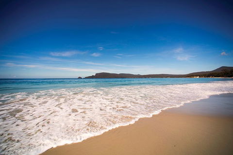 Private Bruny Island Nature Day Trip From Hobart - Yamba Accommodation 1