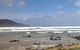 Private Bruny Island Nature Day Trip From Hobart - thumb 0