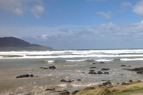 Private Bruny Island Nature Day Trip From Hobart - Yamba Accommodation 0