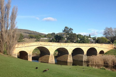 Private Bonorong Wildlife Sanctuary And Richmond 5 Hour Trip From Hobart - Yamba Accommodation 1