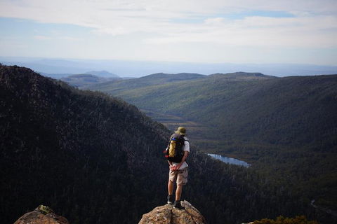 Mount Field National Park - Tarn Shelf & Russell Falls - Guided Hiking Tour - Yamba Accommodation 0