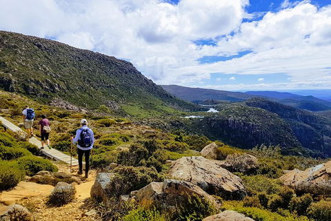 Mount Field National Park - Tarn Shelf & Russell Falls - Guided Hiking Tour - Yamba Accommodation 1