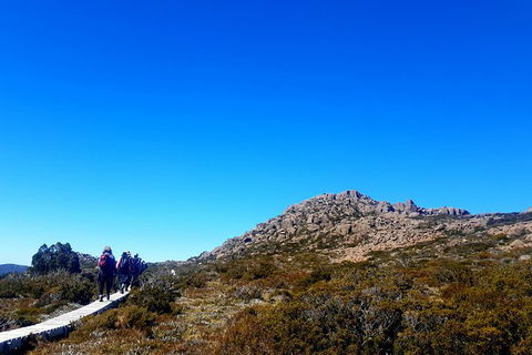 Mount Field National Park - Tarn Shelf & Russell Falls - Guided Hiking Tour - Yamba Accommodation 6