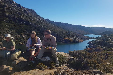 Mount Field National Park - Tarn Shelf & Russell Falls - Guided Hiking Tour - Yamba Accommodation 8