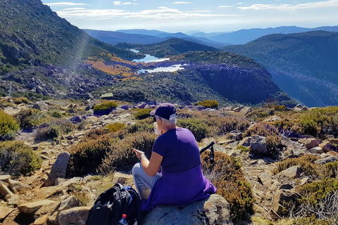 Mount Field National Park - Tarn Shelf & Russell Falls - Guided Hiking Tour - Yamba Accommodation 11