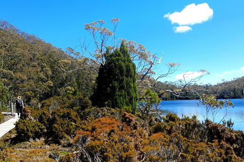 Mount Field National Park - Tarn Shelf & Russell Falls - Guided Hiking Tour - Yamba Accommodation 3
