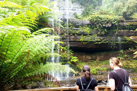 Mount Field National Park - Tarn Shelf & Russell Falls - Guided Hiking Tour - Yamba Accommodation 4
