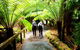 Mount Field National Park - Tarn Shelf & Russell Falls - Guided Hiking Tour - thumb 7