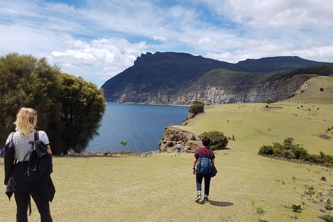 3-Day: Hobart Nature Walking Tour: Maria Island, Cape Raoul & Mount Field - Yamba Accommodation 3