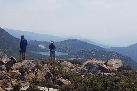 3-Day: Hobart Nature Walking Tour: Maria Island, Cape Raoul & Mount Field - Yamba Accommodation 11