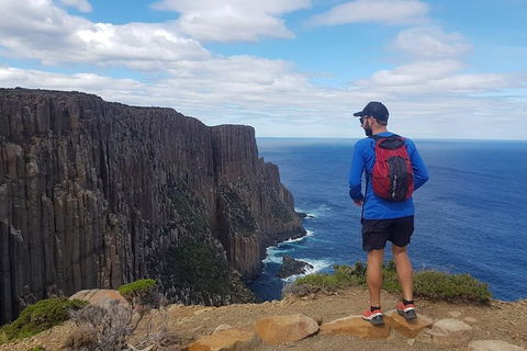 3-Day: Hobart Nature Walking Tour: Maria Island, Cape Raoul & Mount Field - Yamba Accommodation 13