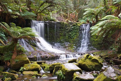 3-Day: Hobart Nature Walking Tour: Maria Island, Cape Raoul & Mount Field - Yamba Accommodation 10
