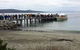Full-Day Bruny Island Tour From Hobart - thumb 4