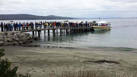 Full-Day Bruny Island Tour From Hobart - Yamba Accommodation 4