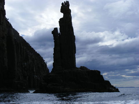 Full-Day Bruny Island Tour From Hobart - Yamba Accommodation 25
