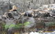 Full-Day Bruny Island Tour From Hobart - thumb 2