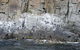 Full-Day Bruny Island Tour From Hobart - thumb 24