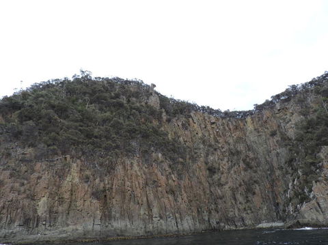 Full-Day Bruny Island Tour From Hobart - Yamba Accommodation 12