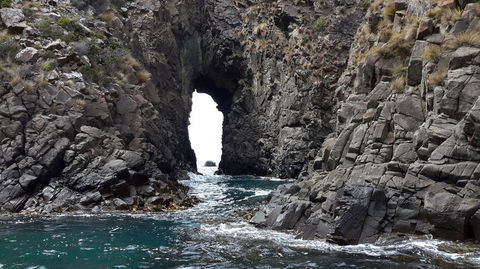 Full-Day Bruny Island Tour From Hobart - Yamba Accommodation 8