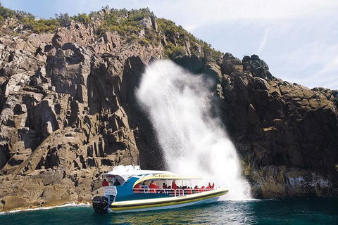 Full-Day Bruny Island Tour From Hobart - Yamba Accommodation 0