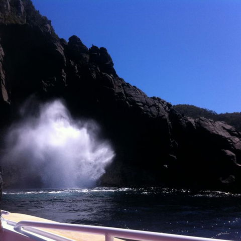 Full-Day Bruny Island Tour From Hobart - Yamba Accommodation 18