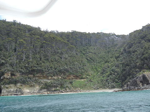 Full-Day Bruny Island Tour From Hobart - Yamba Accommodation 10