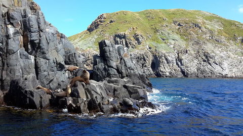 Full-Day Bruny Island Tour From Hobart - Yamba Accommodation 6